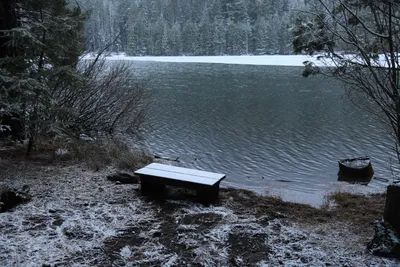 DSC_5829 (Large).JPG